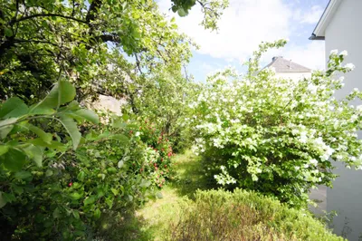 2-Zimmer-Wohnung kaufen in Sankt Pölten – 84,25 m², € 278.000 – Bild 12 von 31
