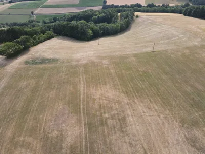 Grundstück kaufen in Wiener Neustadt Land – 60 000 m², € 495.000 – Bild 7 von 12