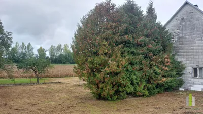 Grundstück mieten in Wels-Land – 860 m², € 300 – Bild 1 von 3