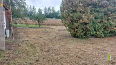 Grundstück mieten in Wels-Land – 860 m², € 300 – Bild 2 von 3