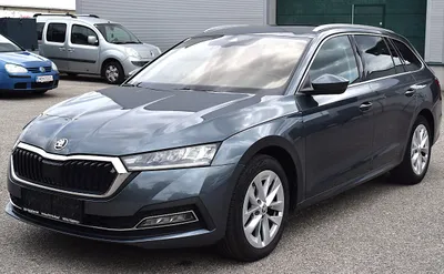 Skoda Octavia 2.0 TDI DPF Premium (EURO 6d-TEMP)