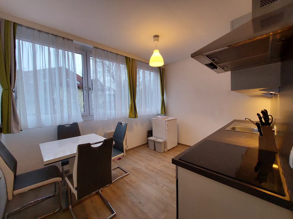 Kleinwohnung Hilmteichnähe - Ansicht 3