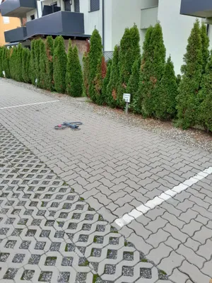 Immobilie kaufen in Leibnitz – € 12.800 – Bild 1 von 2