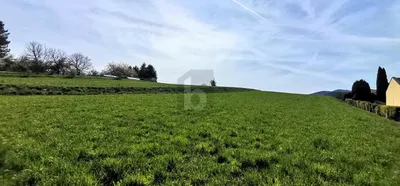 Grundstück kaufen in Wiener Neustadt Land – 924 m², € 184.800 – Bild 3 von 4