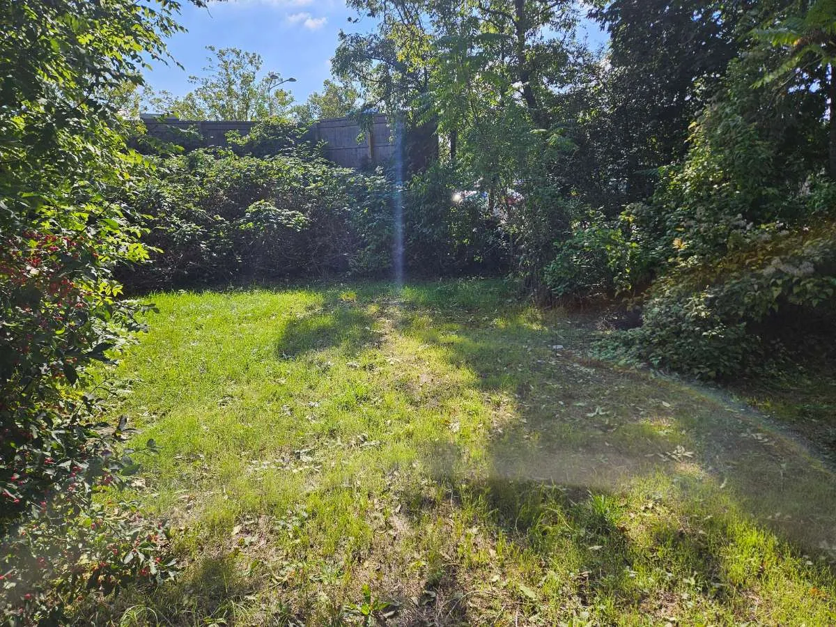 Gartenparadies in Wien Hietzing zu vermieten - Ansicht 3