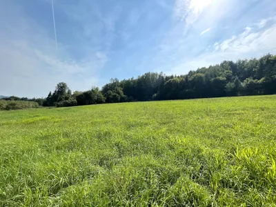 Grundstück kaufen in Weiz – 1 035 m², € 95.000 – Bild 2 von 5