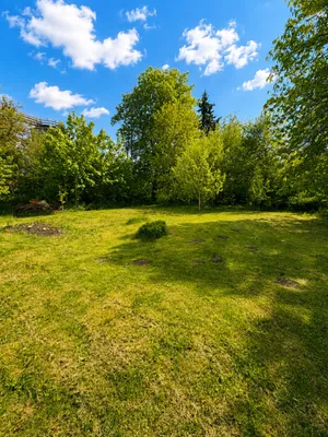 7-Zimmer-Haus kaufen in Zwettl – 200 m², € 239.000 – Bild 5 von 19