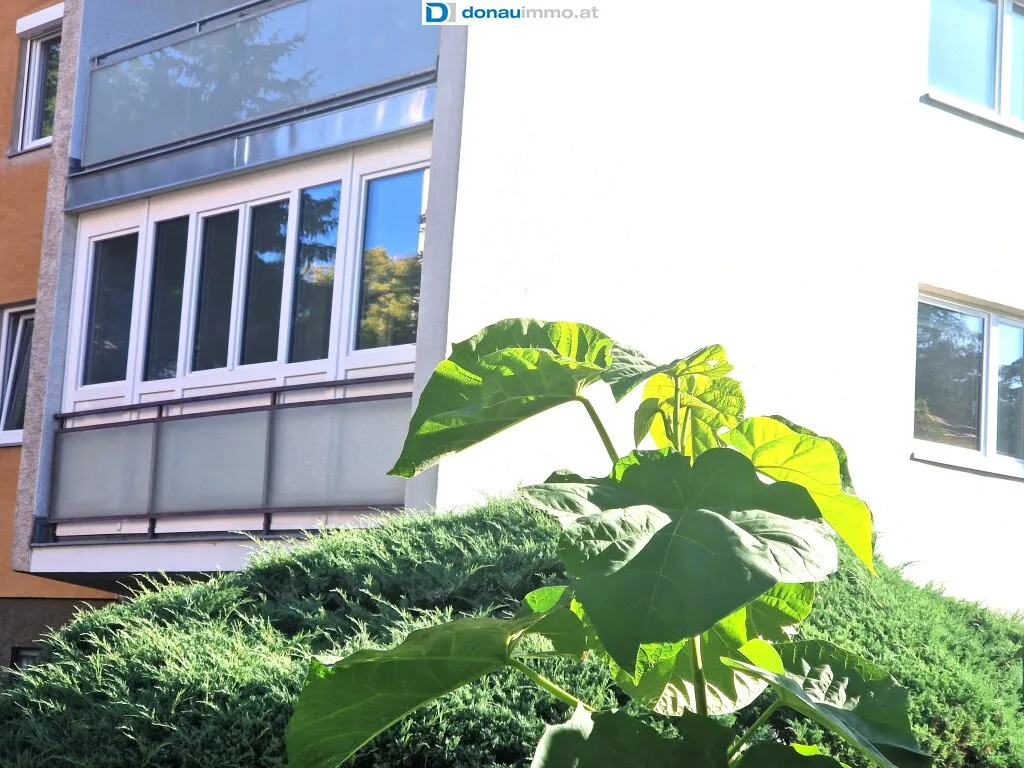 Wohnung – Bad Vöslau, Katastralgemeinde Vöslau - Ansicht 2