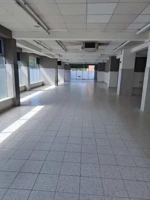 Gewerbeimmobilie kaufen in Wels – 502 m², € 595.000 – Bild 2 von 4