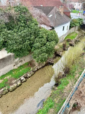 3-Zimmer-Wohnung mieten in Mödling – 60 m², € 990 – Bild 2 von 11