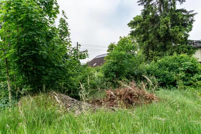 Grundstück kaufen in Linz – 556 m², € 285.631 – Bild 5 von 12