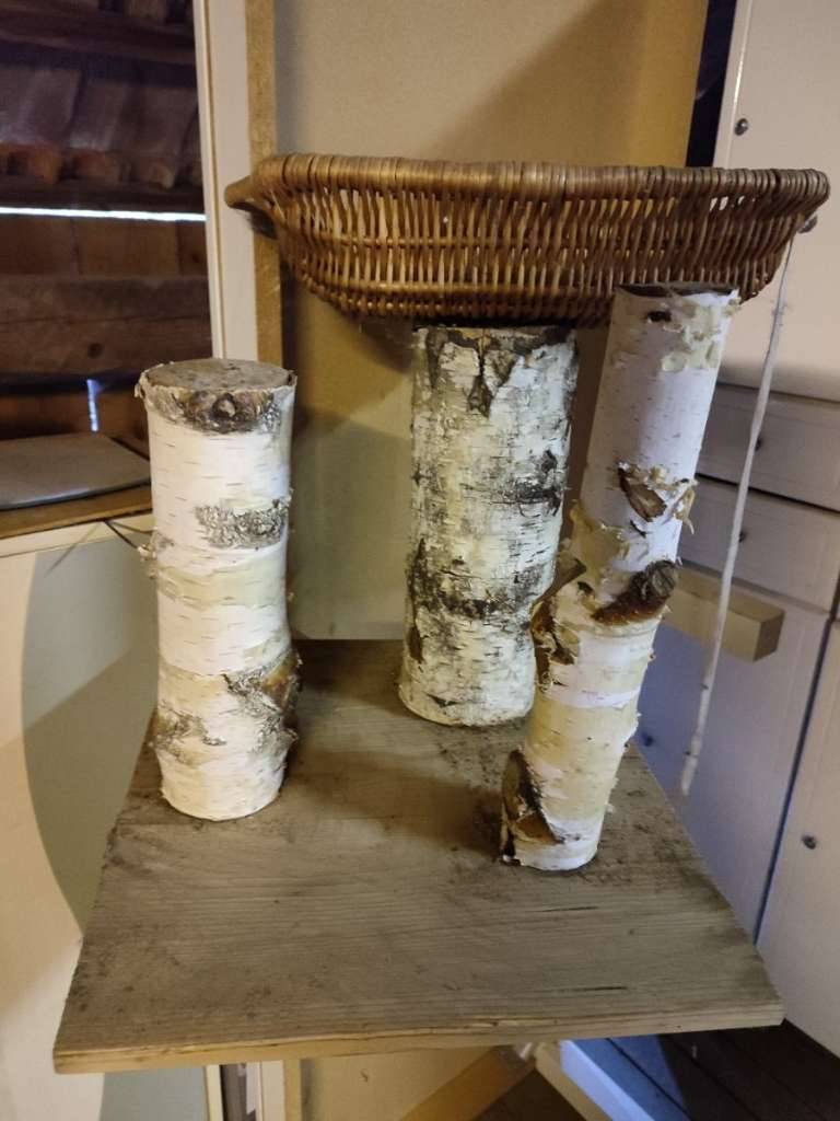 Kratzbaum fr Kitten Katzen - echte Birke,  20,- (7432 Oberschtzen) -  willhaben