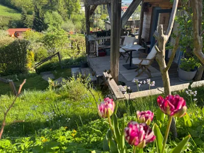 Immobilie kaufen in Linz – 320 m², € 51.000 – Bild 10 von 17