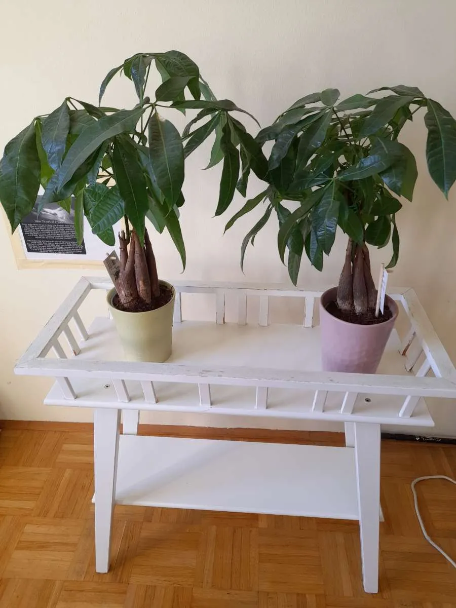 Blumenständer aus Holz, weiss, Pflanzenmöbel, Topfshalter, Blumentopf, Blumen, Pflanzen, Garten, € 0,01 (1200 Wien)
