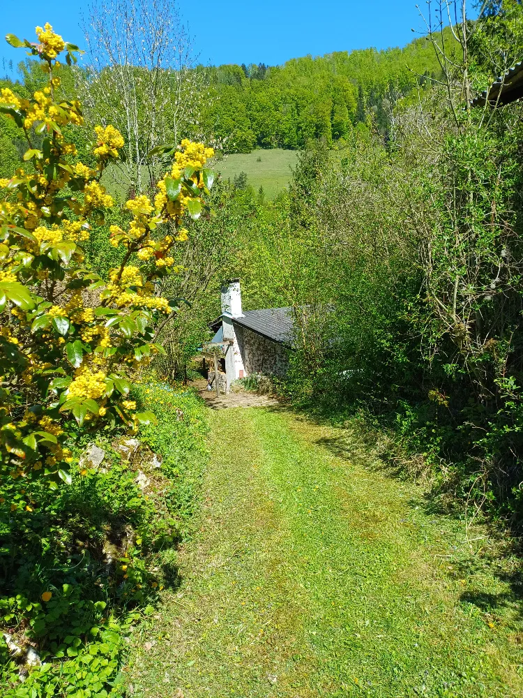 Haus – Losenstein - Ansicht 3