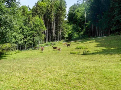 9-Zimmer-Immobilie kaufen in Schärding – 350 m², € 975.000 – Bild 19 von 22