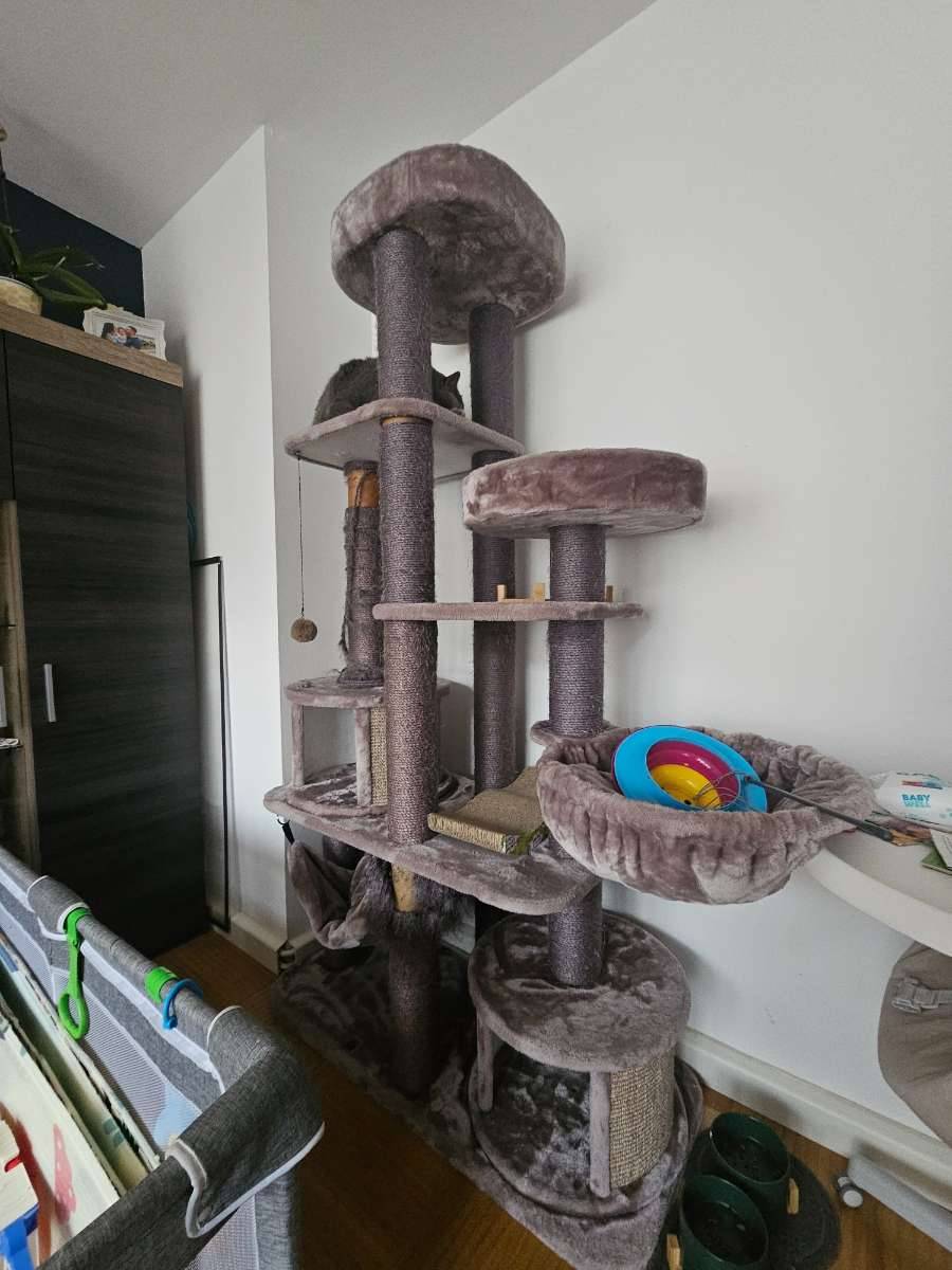 hunderampe für auto Hundetreppe Auto: leicht ein- & aussteigen + Gelenkschutz – Wuff's Best main image 1