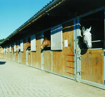 Gewerbeimmobilie kaufen in Sankt Veit an der Glan – 124 448 m² – Bild 2 von 23
