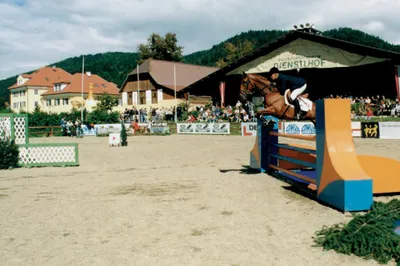 Gewerbeimmobilie kaufen in Sankt Veit an der Glan – 124 448 m² – Bild 19 von 23