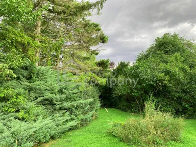 Grundstück kaufen in Bruck an der Leitha – 1 017 m², € 395.000