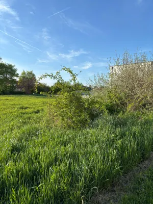Grundstück kaufen in Neusiedl am See – 744 m², € 335.000 – Bild 4 von 4