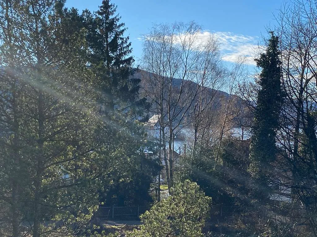 Wohnung – Seewalchen am Attersee - Ansicht 3