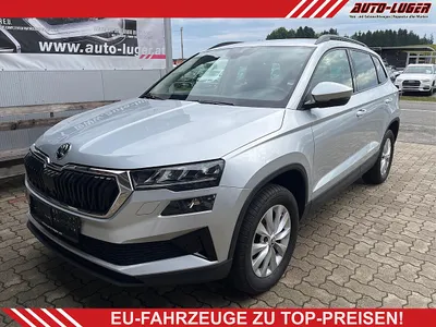 Skoda Karoq Selection 2.0 TDI *LED *Lenkradheizung*