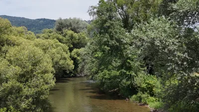 Grundstück kaufen in Klagenfurt Land – 650 m², € 60.000 – Bild 6 von 9