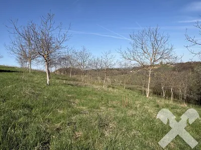 Immobilie kaufen in Jennersdorf – 150 m², € 250.000 – Bild 8 von 12