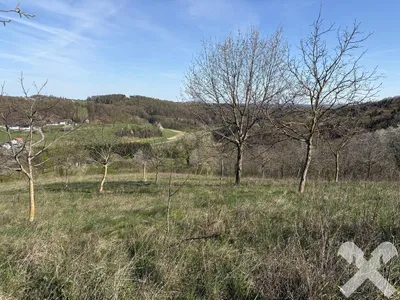 Immobilie kaufen in Jennersdorf – 150 m², € 250.000 – Bild 12 von 12