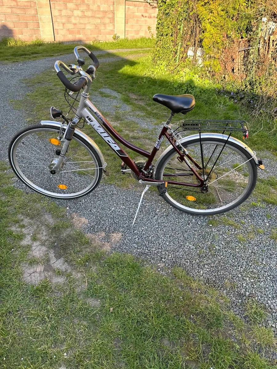 mountainbike 29 zoll xt ausstattung 29
