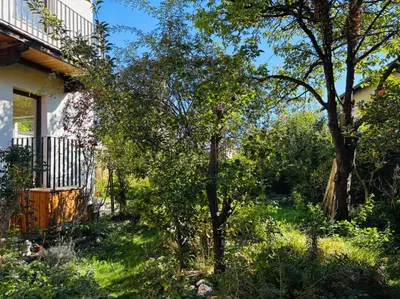 2-Zimmer-Wohnung mieten in Innsbruck-Land – 54 m², € 1.300