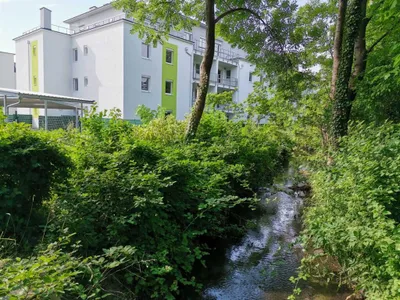 2-Zimmer-Wohnung mieten in Baden – 42,51 m², € 719 – Bild 15 von 19