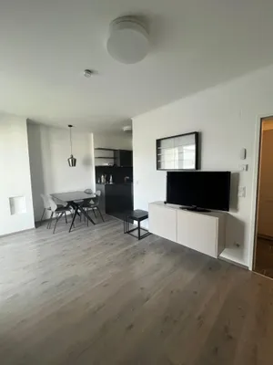2-Zimmer-Wohnung mieten in Baden – 42,51 m², € 719 – Bild 7 von 19