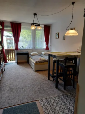 1-Zimmer-Wohnung mieten in Gmunden – 26 m², € 550 – Bild 7 von 9