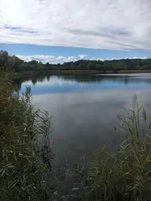 Immobilie kaufen in Österreich – 22 000 m², € 780.000 – Bild 15 von 16