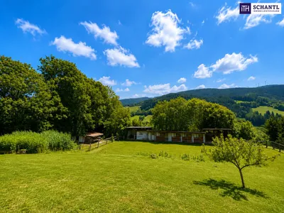 8-Zimmer-Haus kaufen in Bruck-Mürzzuschlag – 221,38 m², € 269.000 – Bild 6 von 24