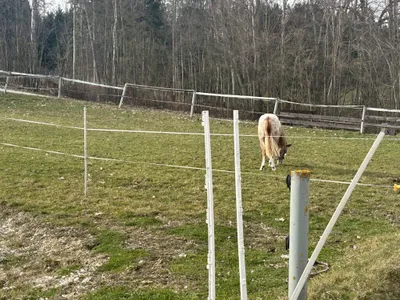 Immobilie mieten in Vöcklabruck – 30 000 m², € 2.000 – Bild 24 von 28