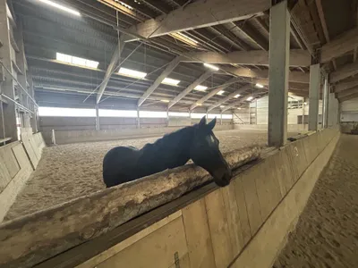 Immobilie mieten in Vöcklabruck – 30 000 m², € 2.000 – Bild 11 von 28