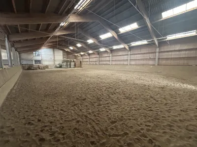 Immobilie mieten in Vöcklabruck – 30 000 m², € 2.000 – Bild 12 von 28