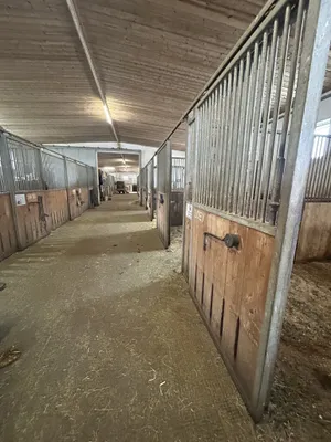 Immobilie mieten in Vöcklabruck – 30 000 m², € 2.000 – Bild 19 von 28
