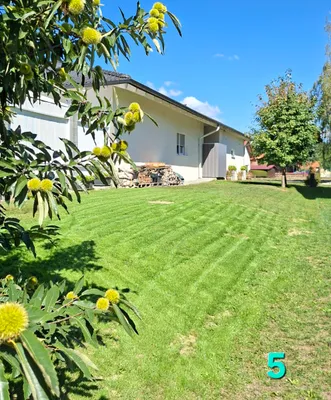 Haus kaufen in Südoststeiermark – 160 m², € 660.000 – Bild 4 von 12