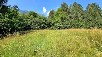 Grundstück kaufen in Spittal an der Drau – 8 740 m², € 150.000 – Bild 7 von 11