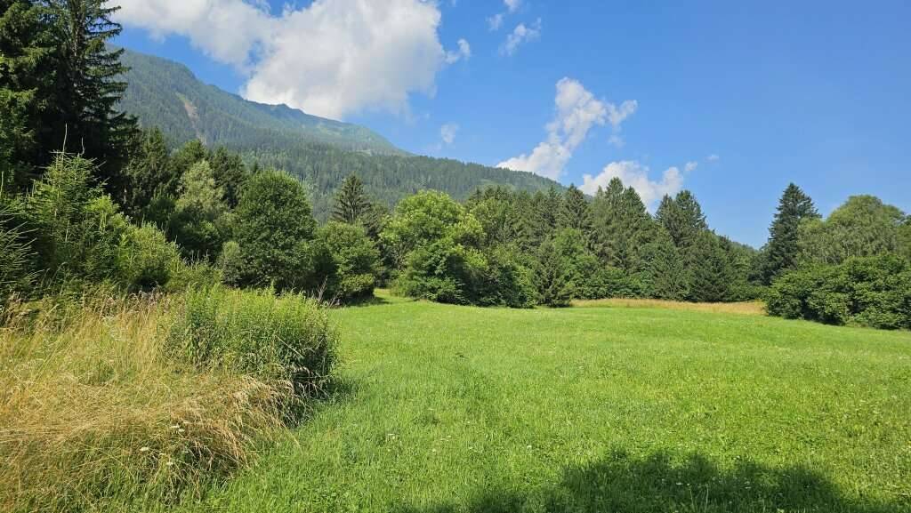 Aufgepasst 3 Grundstücke: Traumhafte Grundstücke - 8.740 m² zum Verwirklichen Ihrer Träume in Penk.! - Ansicht 3