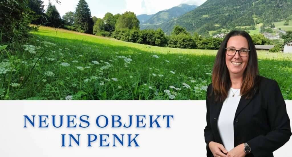 Aufgepasst 3 Grundstücke: Traumhafte Grundstücke - 8.740 m² zum Verwirklichen Ihrer Träume in Penk.! - Ansicht 2