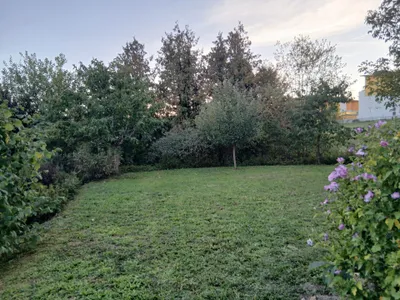 3-Zimmer-Wohnung mieten in Freistadt – 72 m², € 890 – Bild 6 von 8
