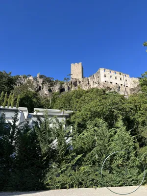 Wohnung mieten in Baden – 60 m², € 706 – Bild 12 von 14