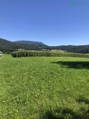 Grundstück kaufen in Graz-Umgebung – 800 m², € 163.000 – Bild 3 von 5