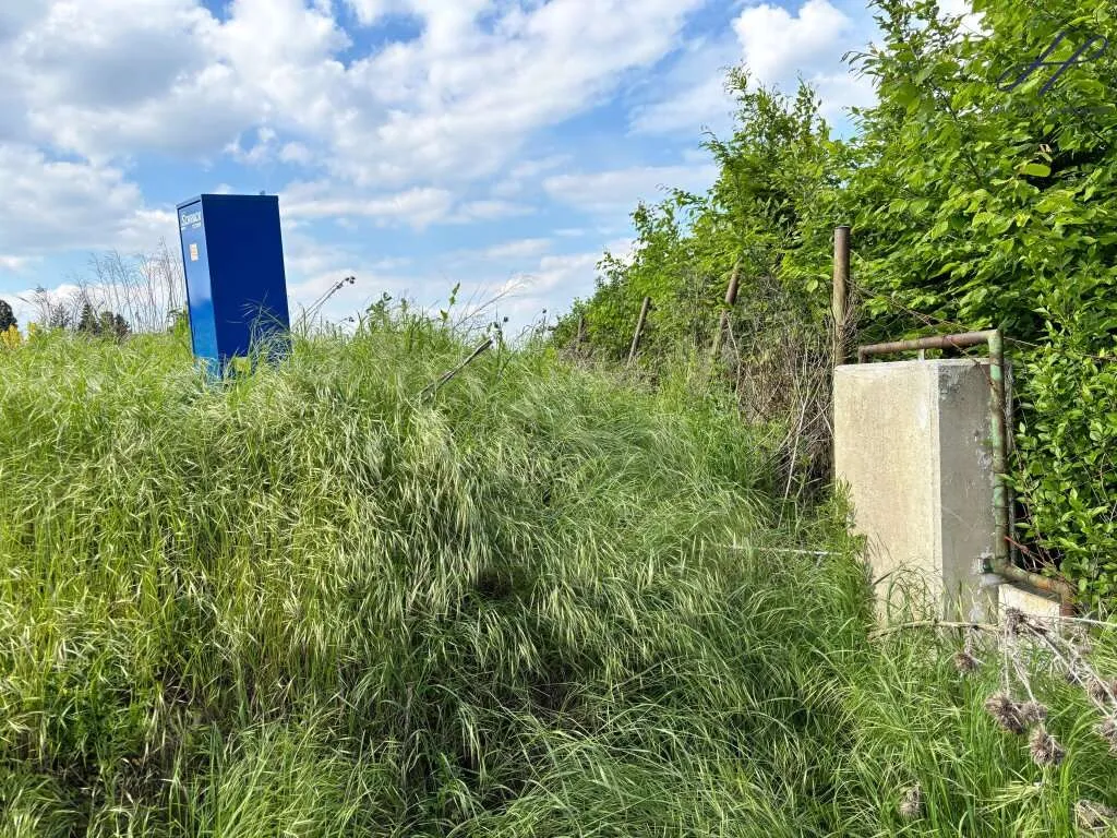 sonniges Baugrundstück in Bad Sauerbrunn - Ansicht 3