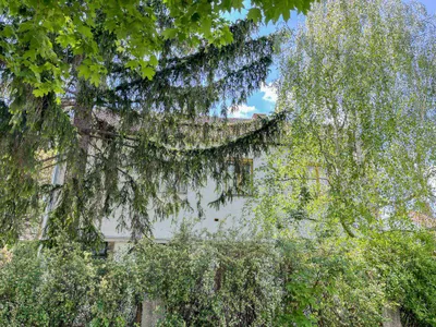 Grundstück kaufen in Wien – 697 m², € 745.000 – Bild 9 von 11